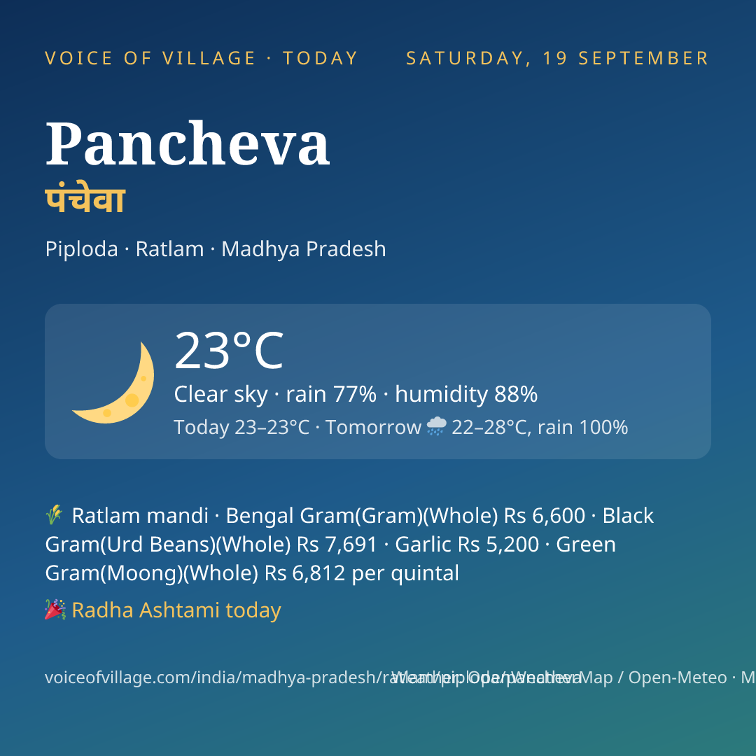 Pancheva today