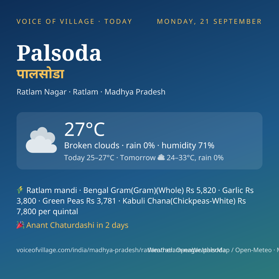 Palsoda today