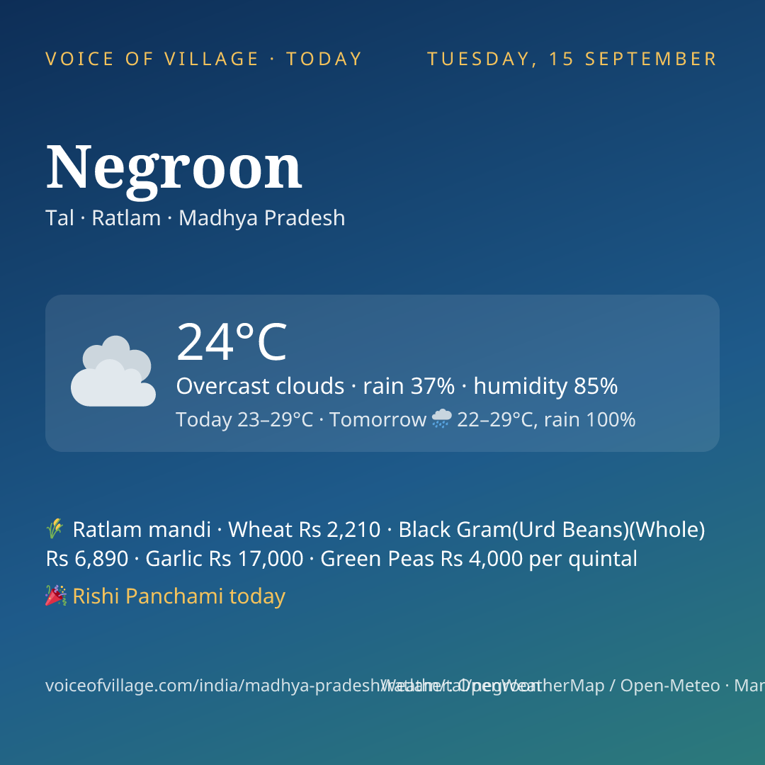 Negroon today