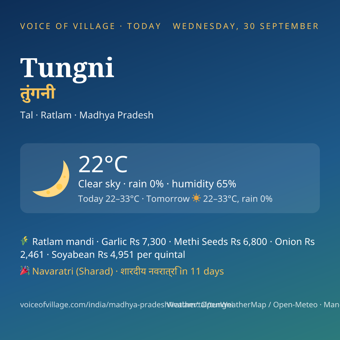 Tungni today