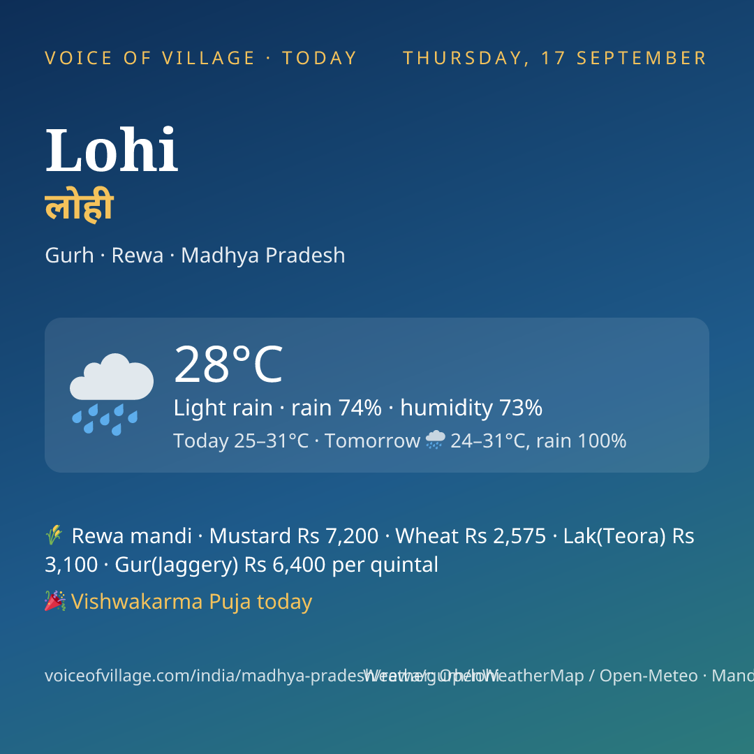 Lohi today