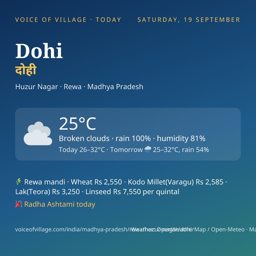 Dohi today