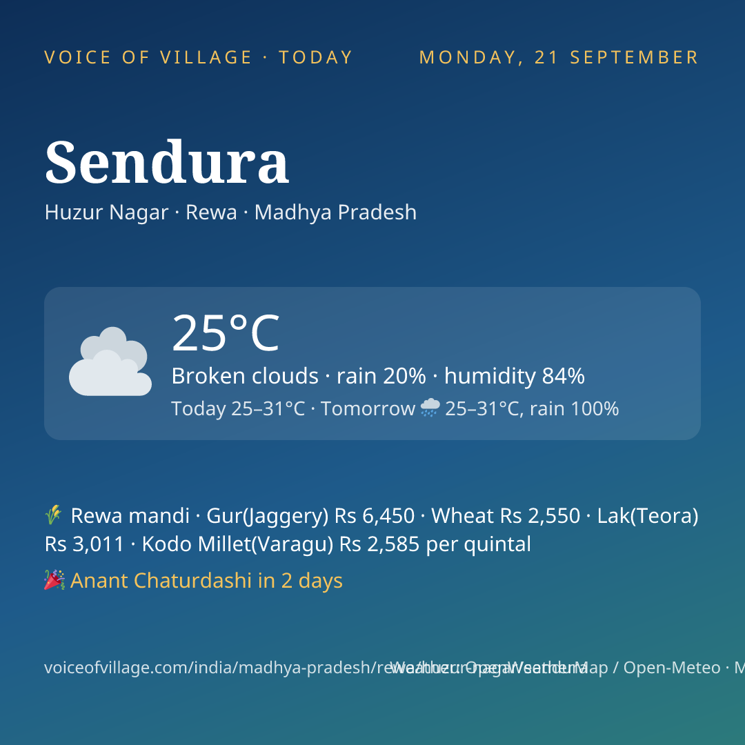 Sendura today