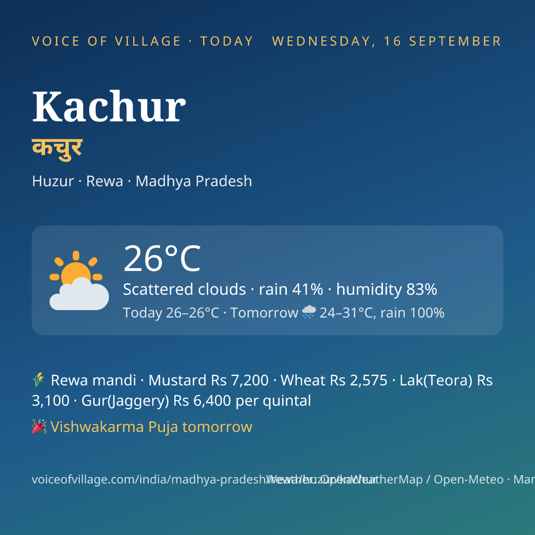 Kachur today