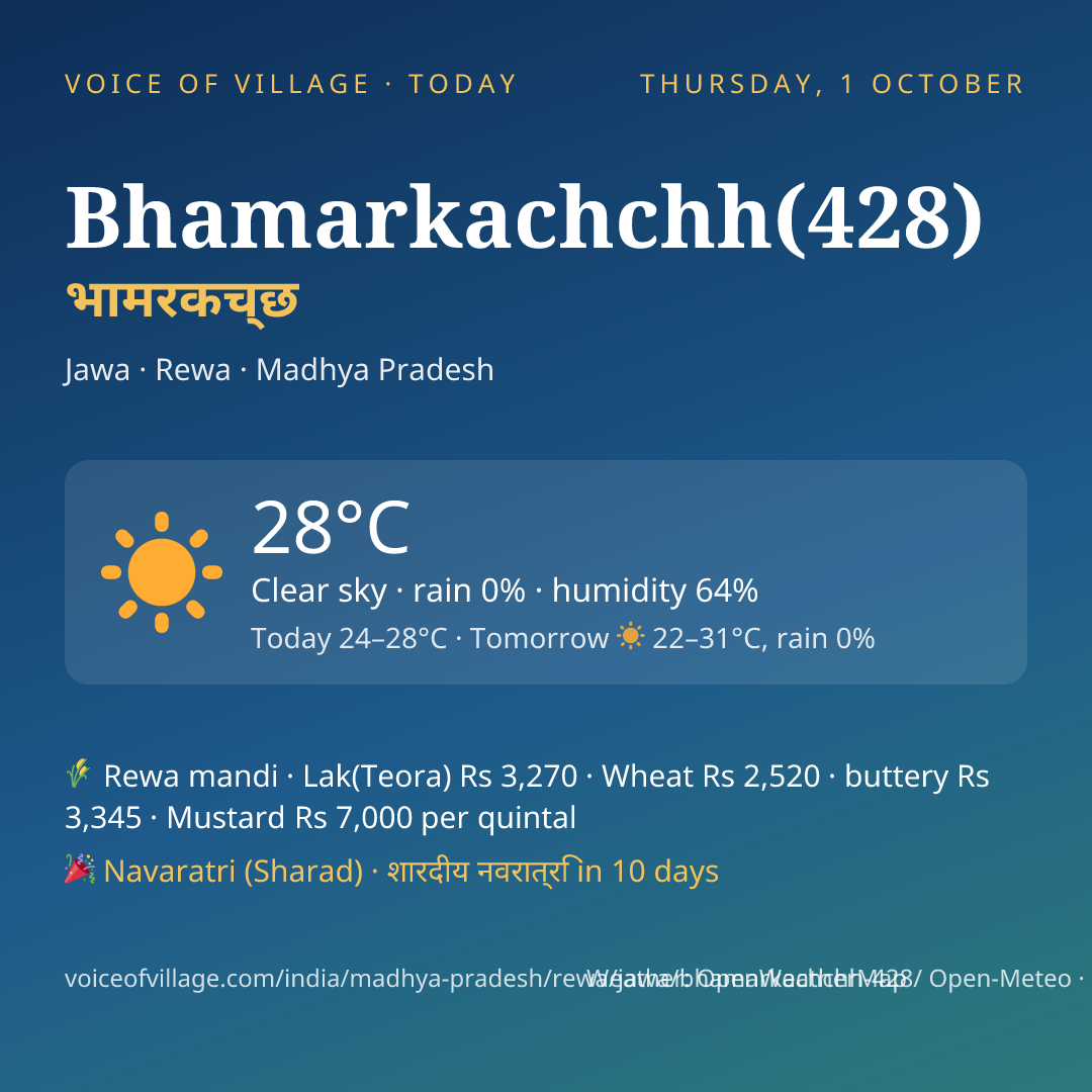 Bhamarkachchh(428) today