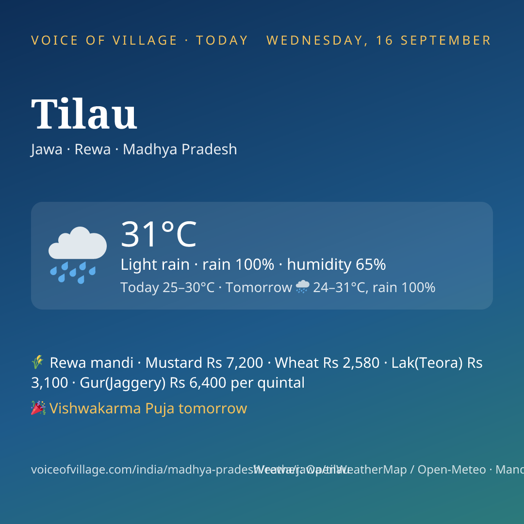 Tilau today