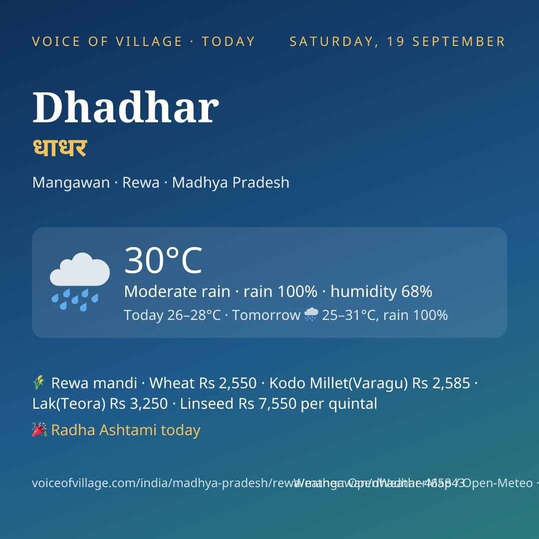 Dhadhar today