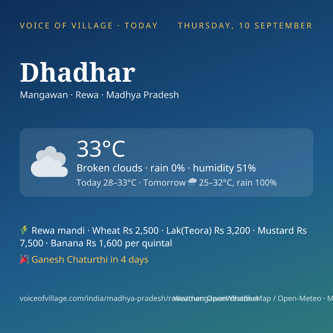 Dhadhar today