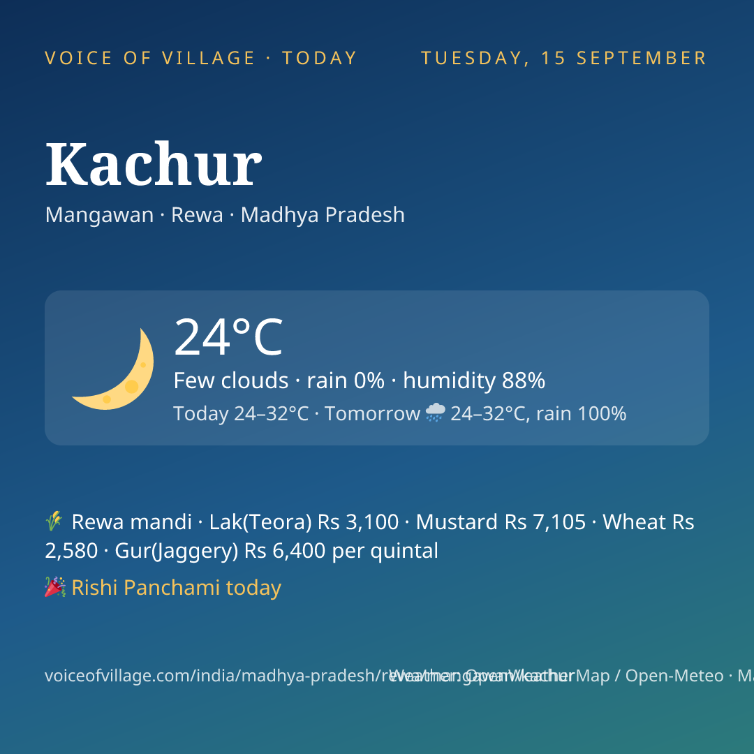 Kachur today