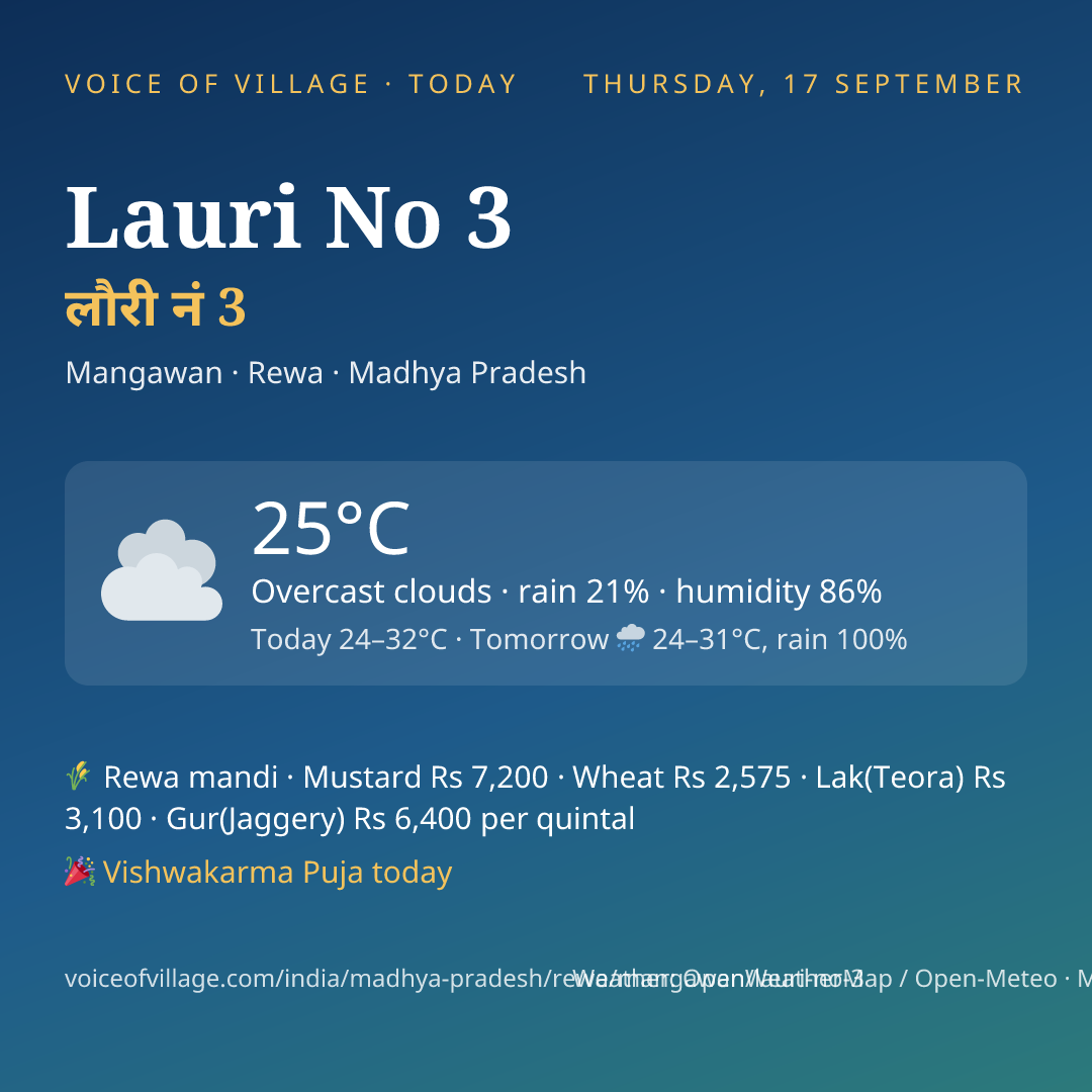 Lauri No 3 today