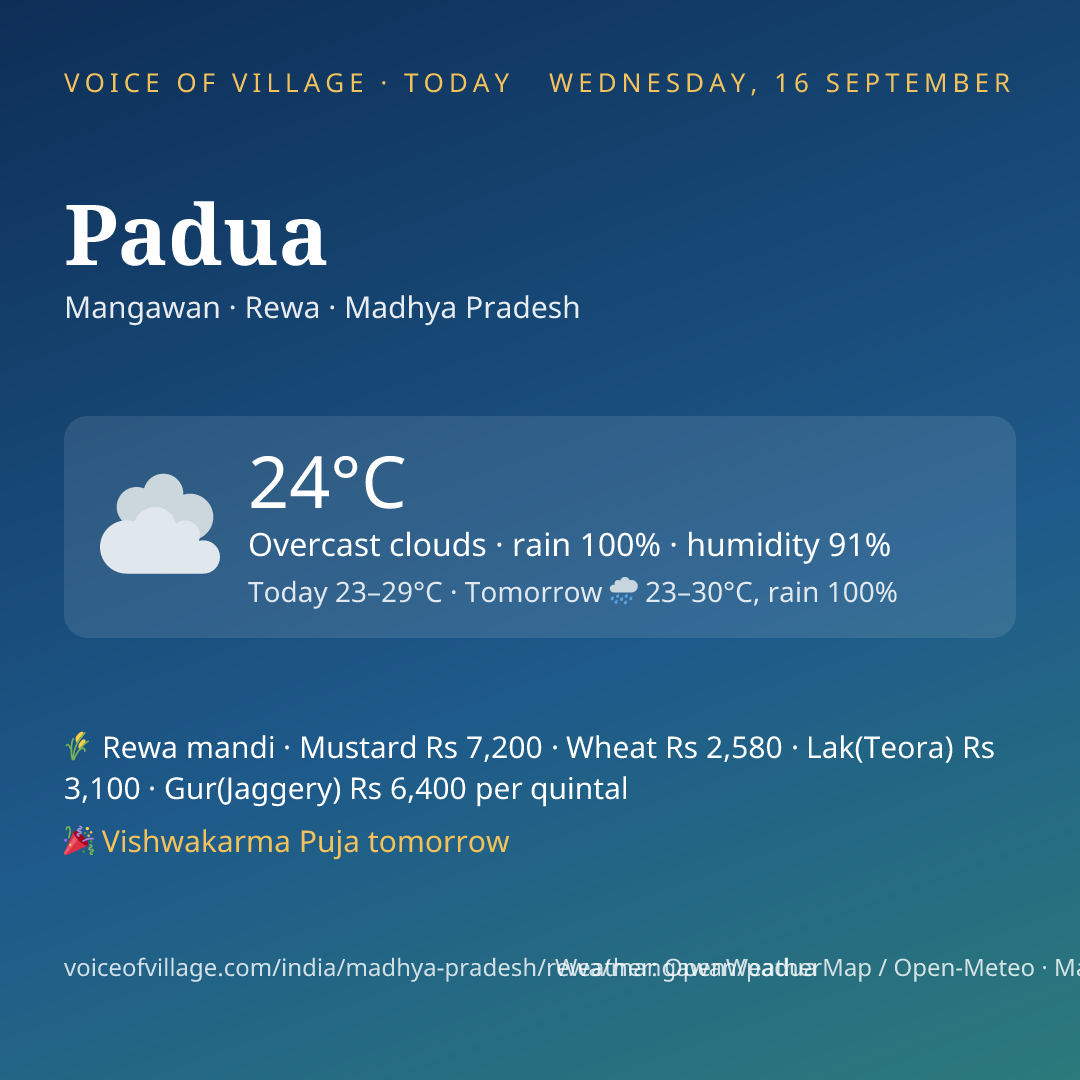 Padua today