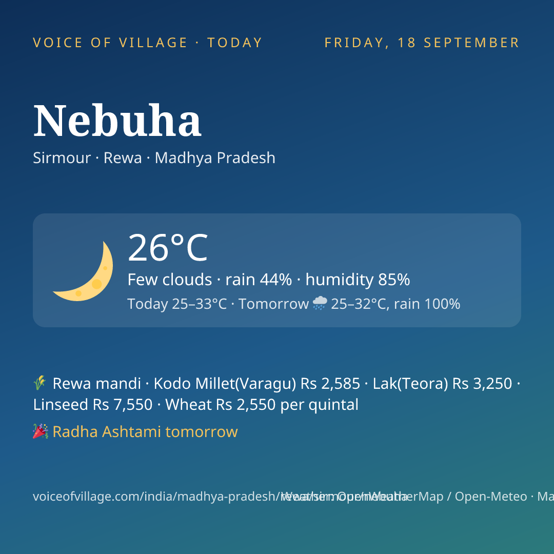 Nebuha today