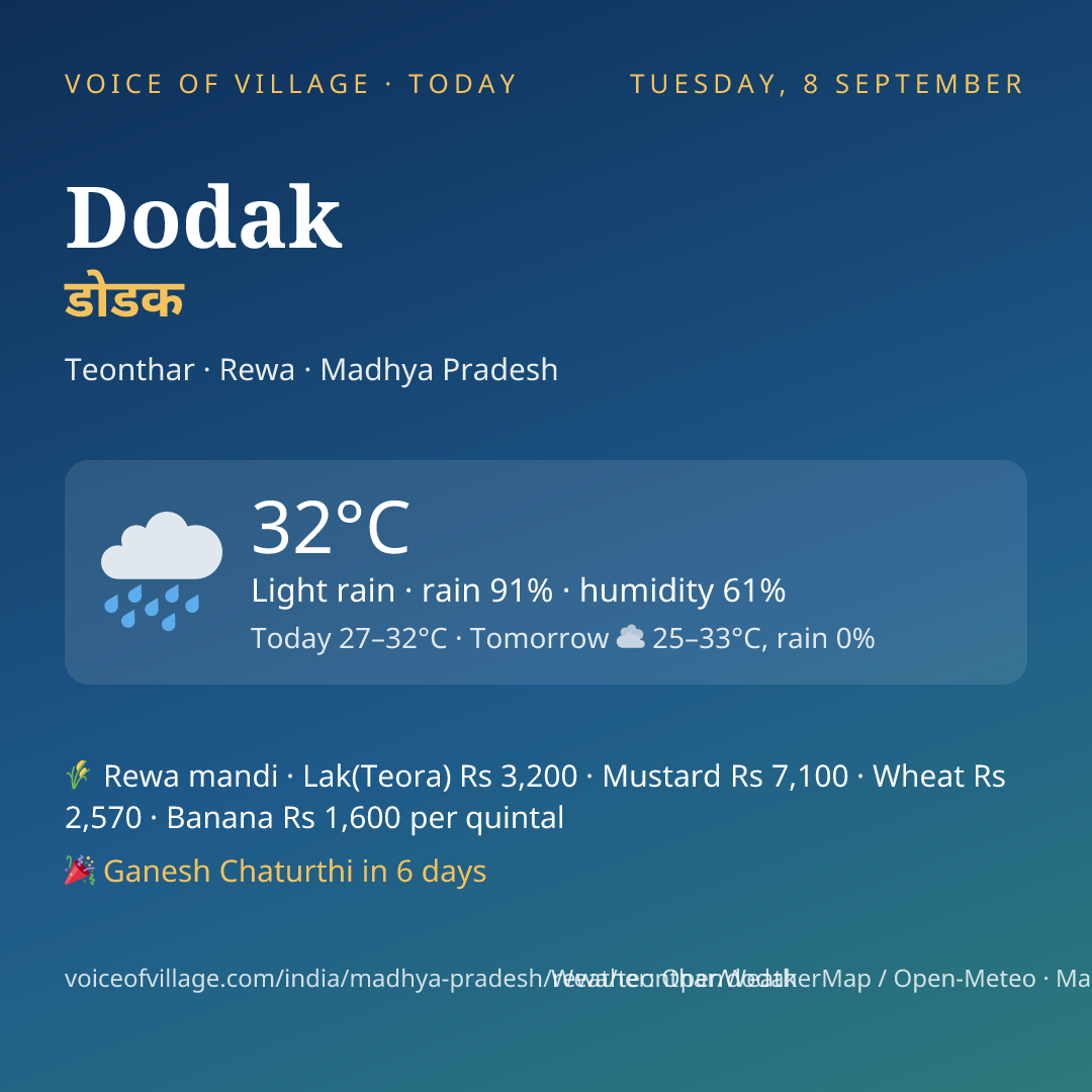 Dodak today