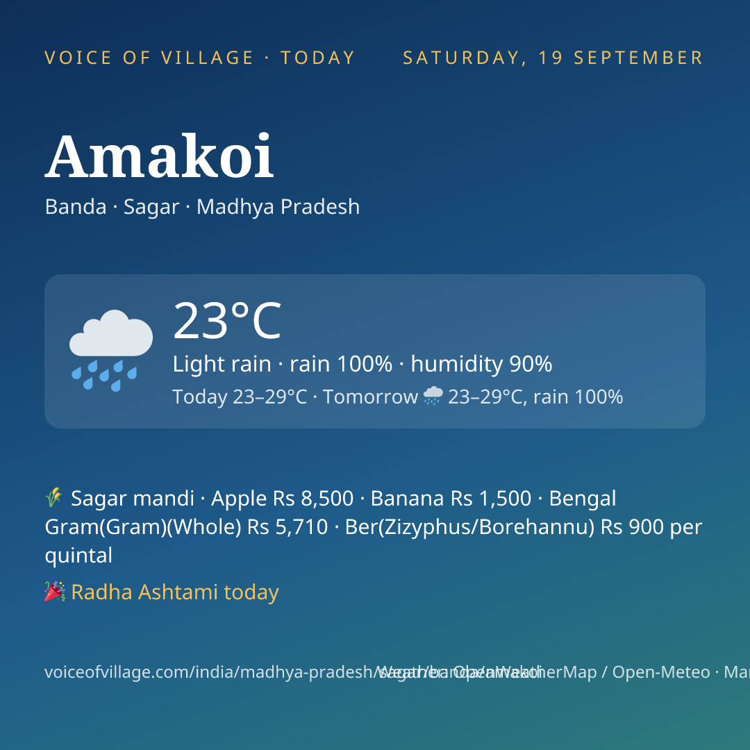 Amakoi today