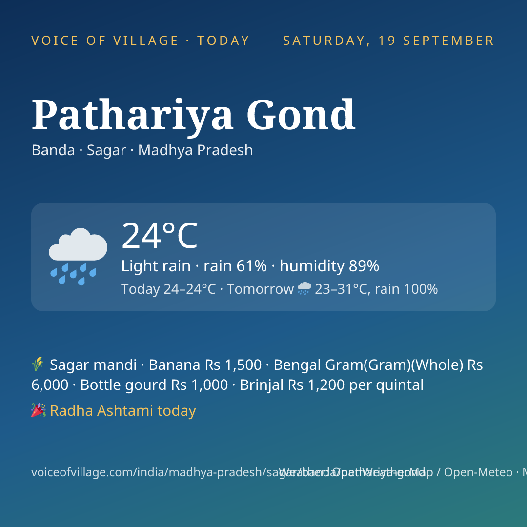 Pathariya Gond today