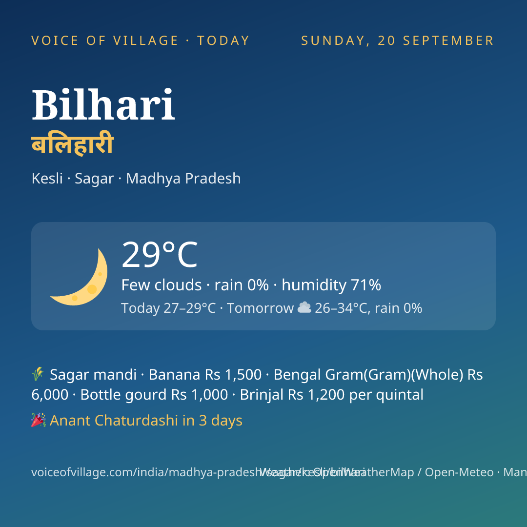 Bilhari today