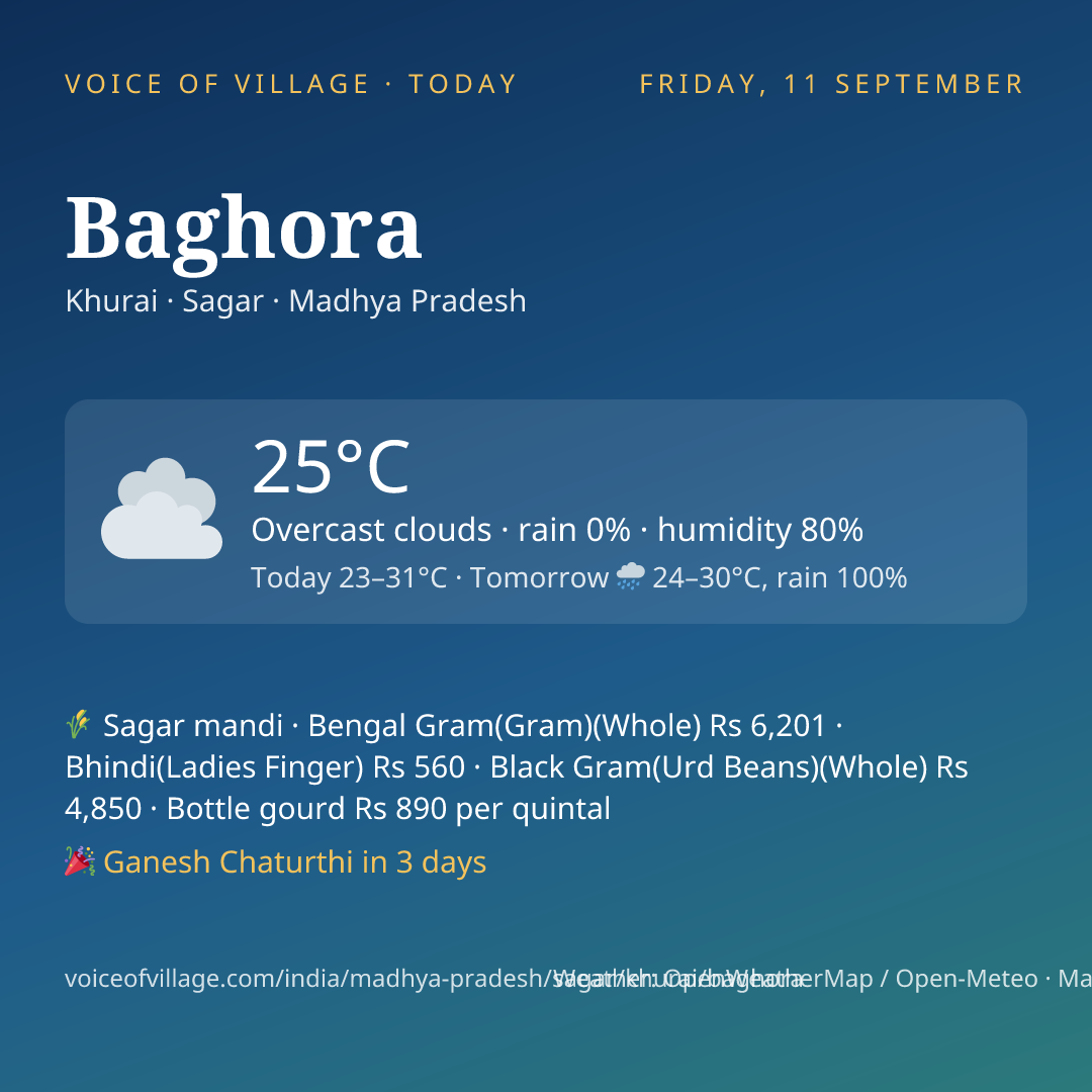 Baghora today