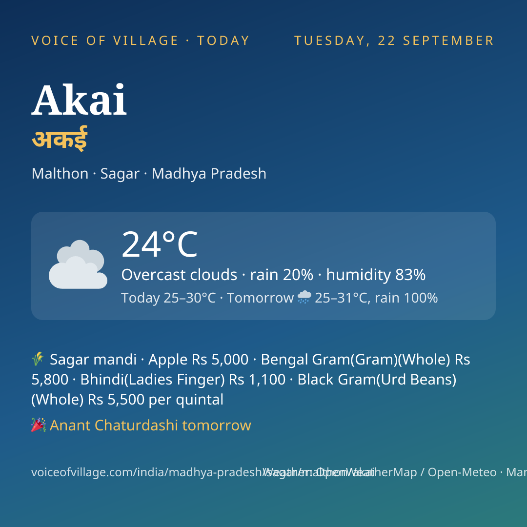 Akai today