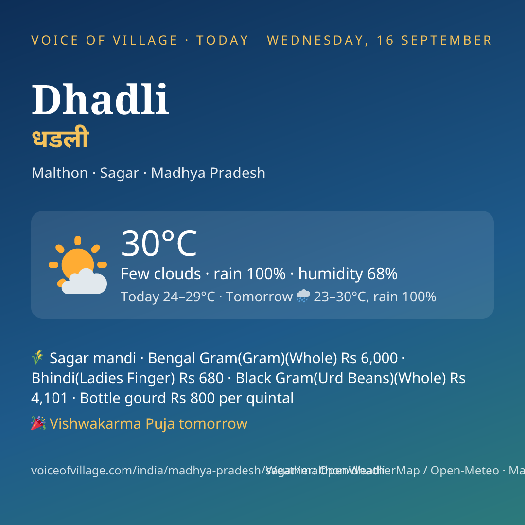 Dhadli today
