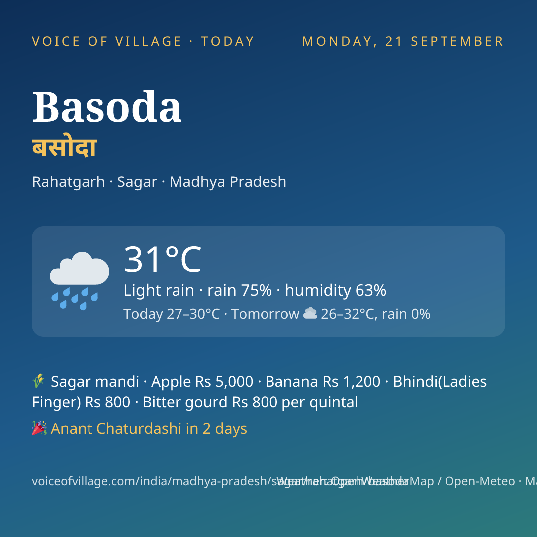 Basoda today