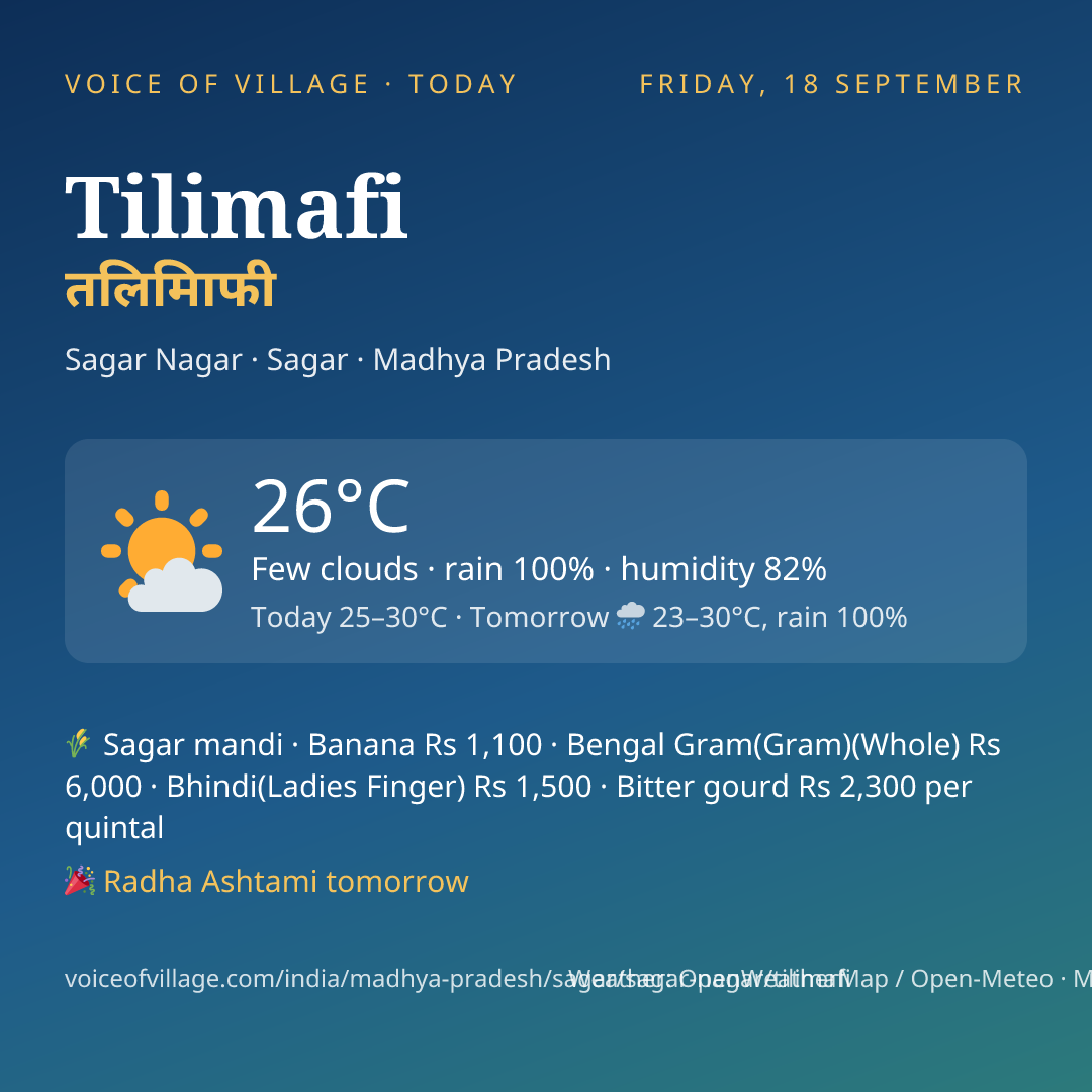 Tilimafi today