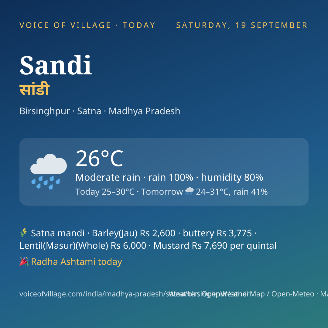 Sandi today
