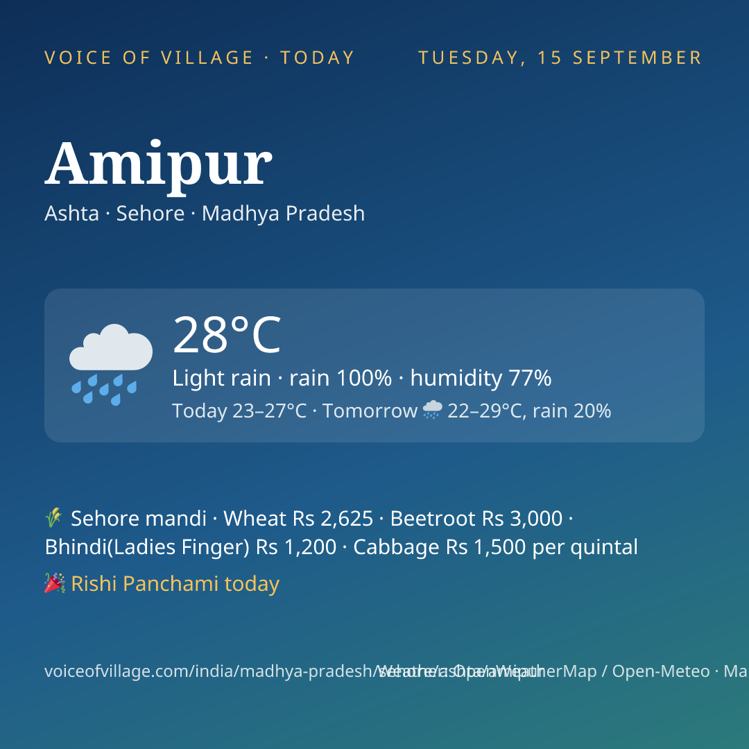 Amipur today