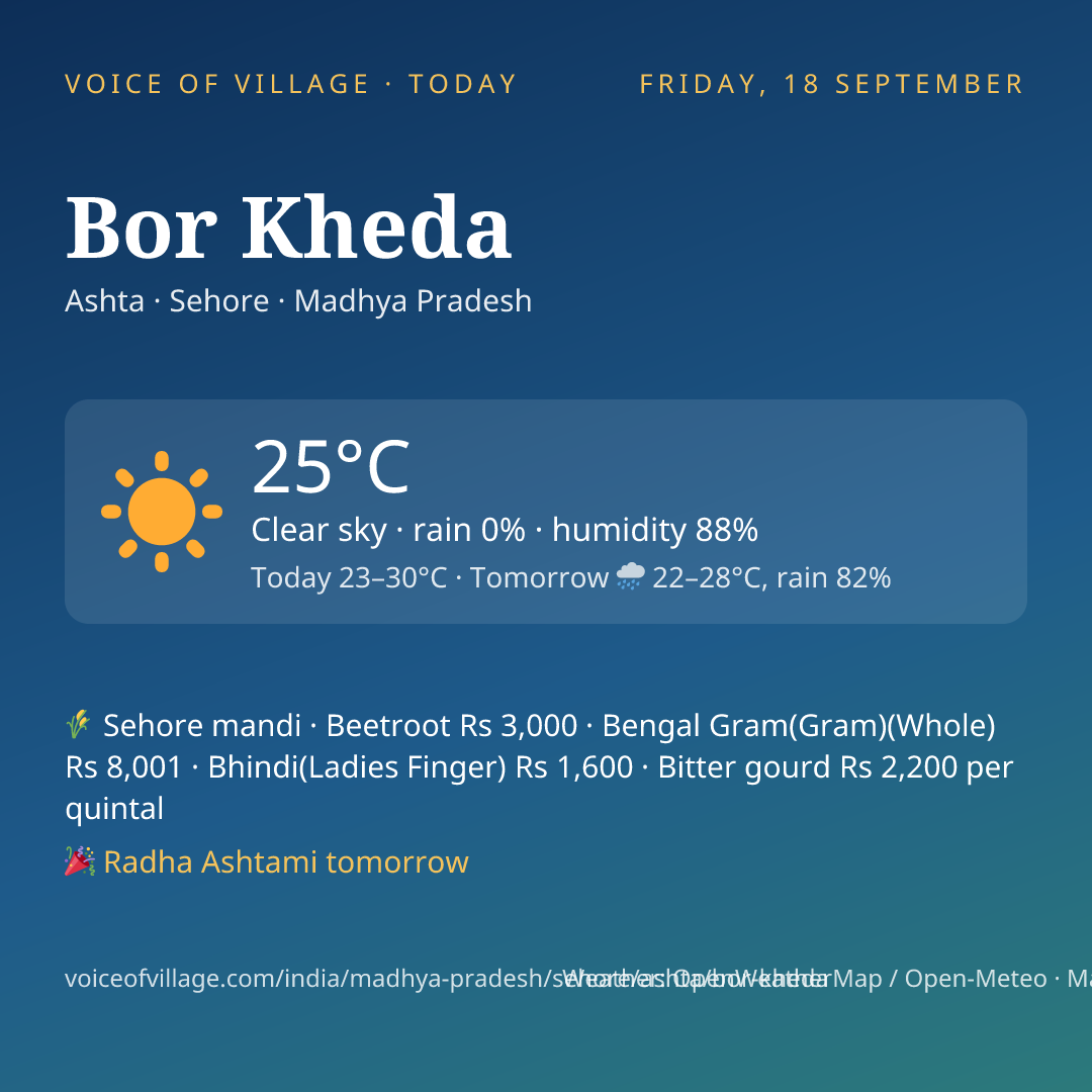 Bor Kheda today