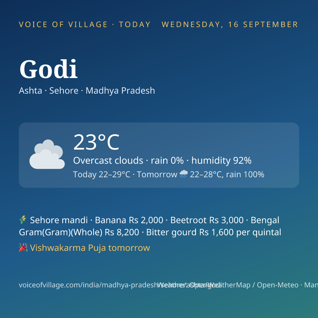 Godi today