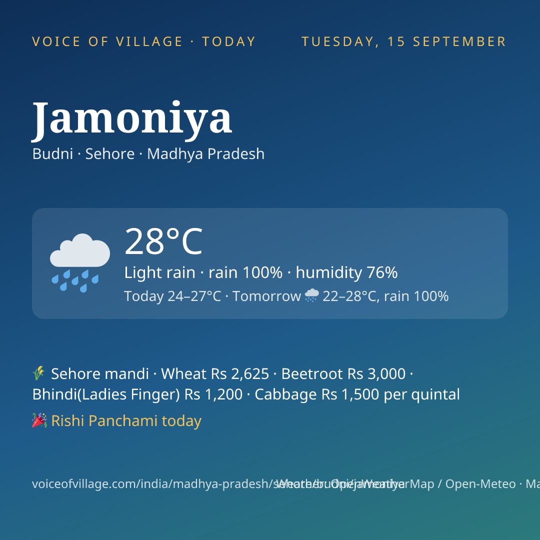 Jamoniya today