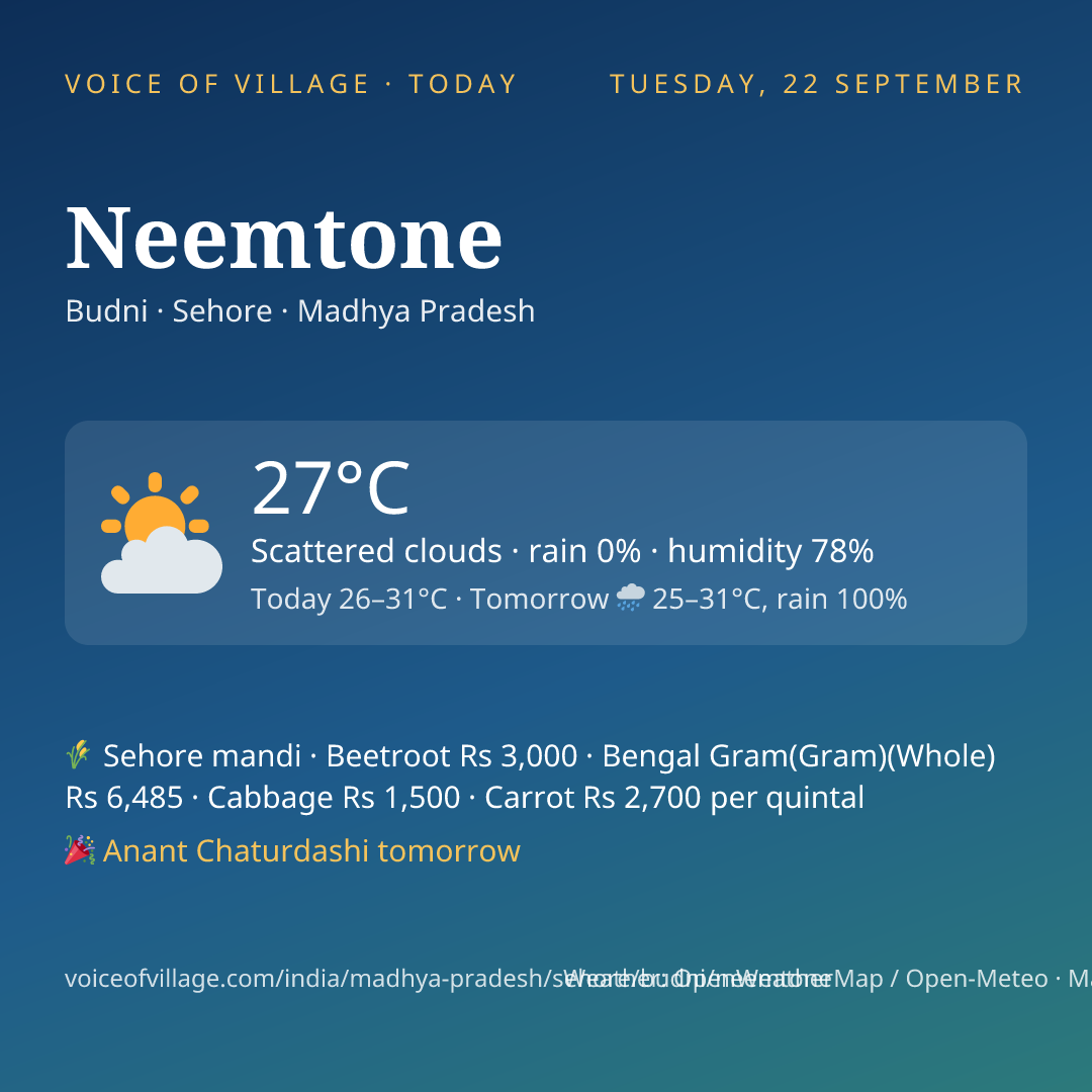 Neemtone today