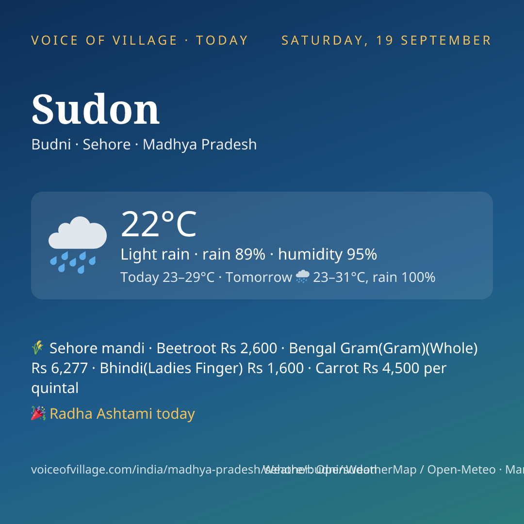 Sudon today