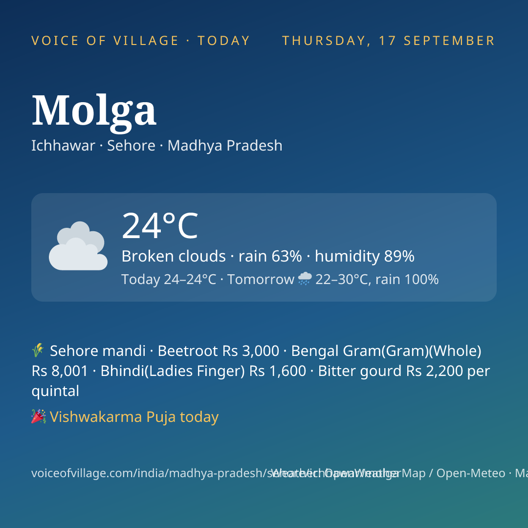 Molga today