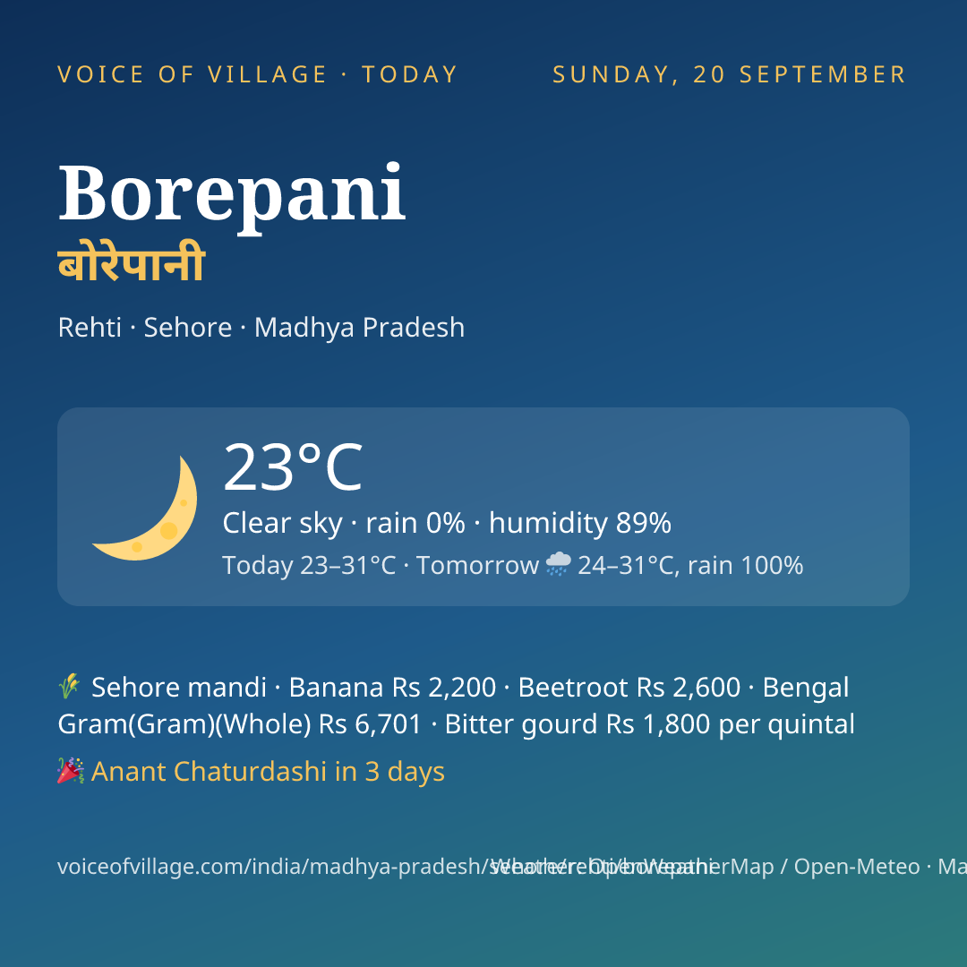 Borepani today