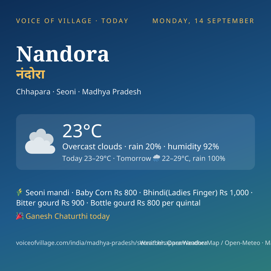 Nandora today
