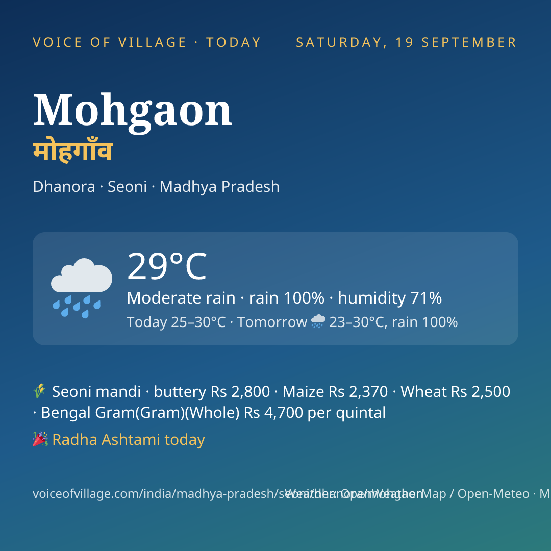 Mohgaon today