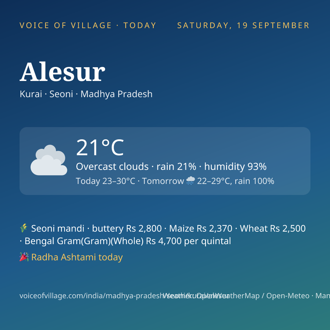 Alesur today