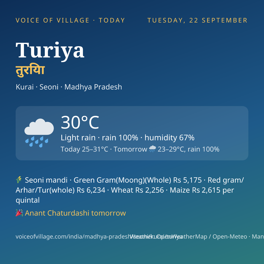 Turiya today
