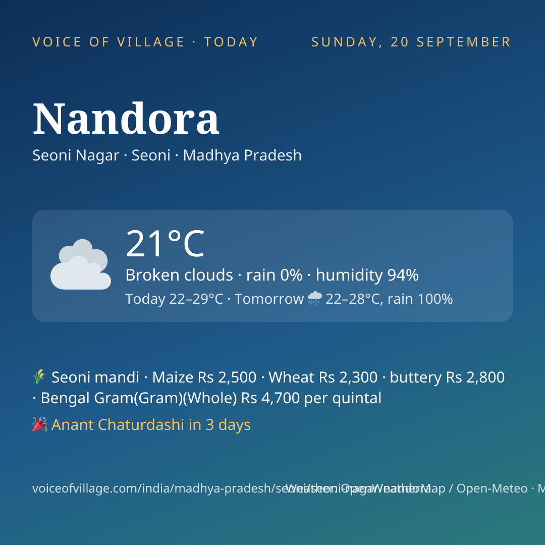 Nandora today