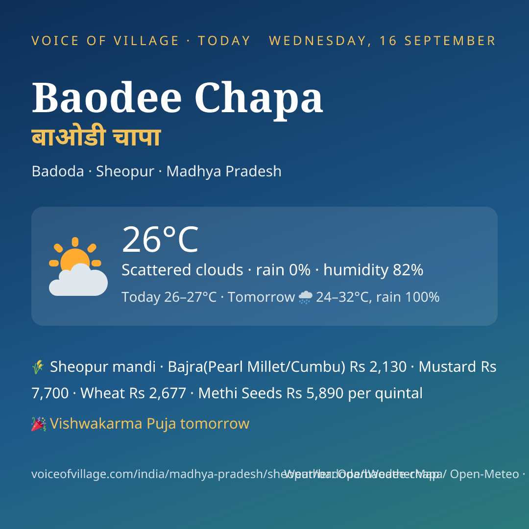Baodee Chapa today