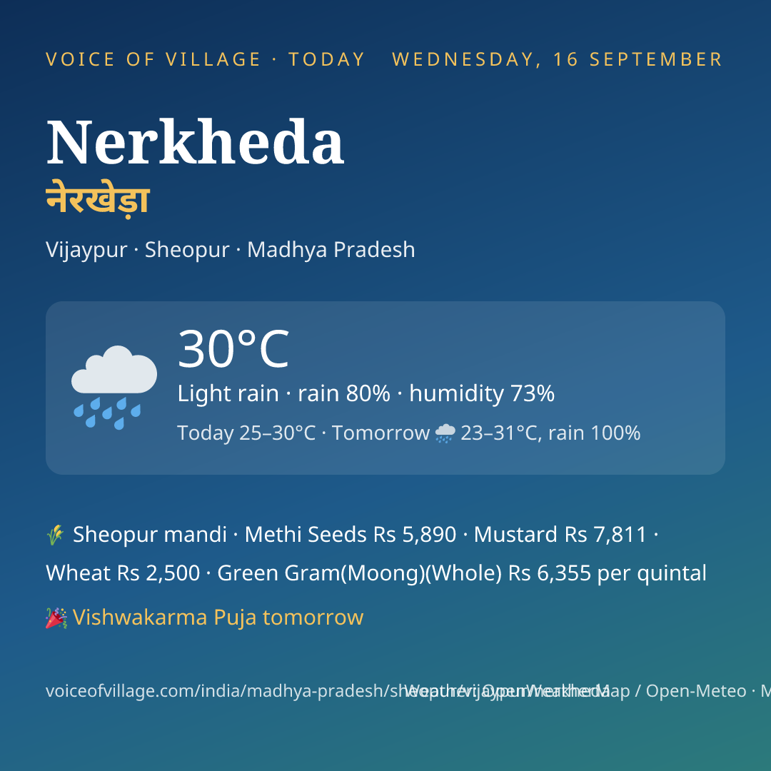 Nerkheda today