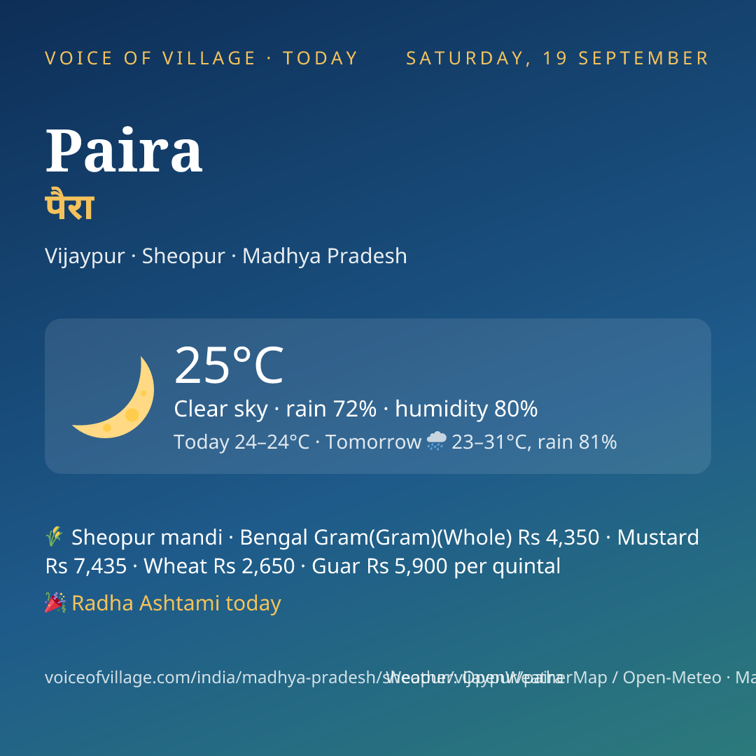Paira today