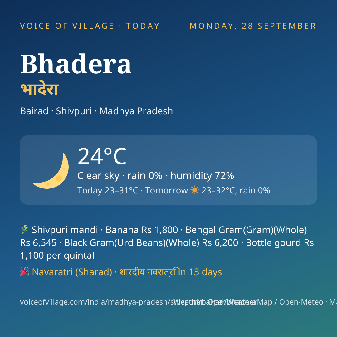 Bhadera today