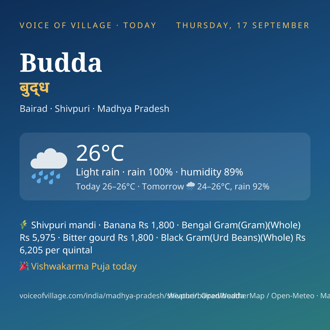 Budda today