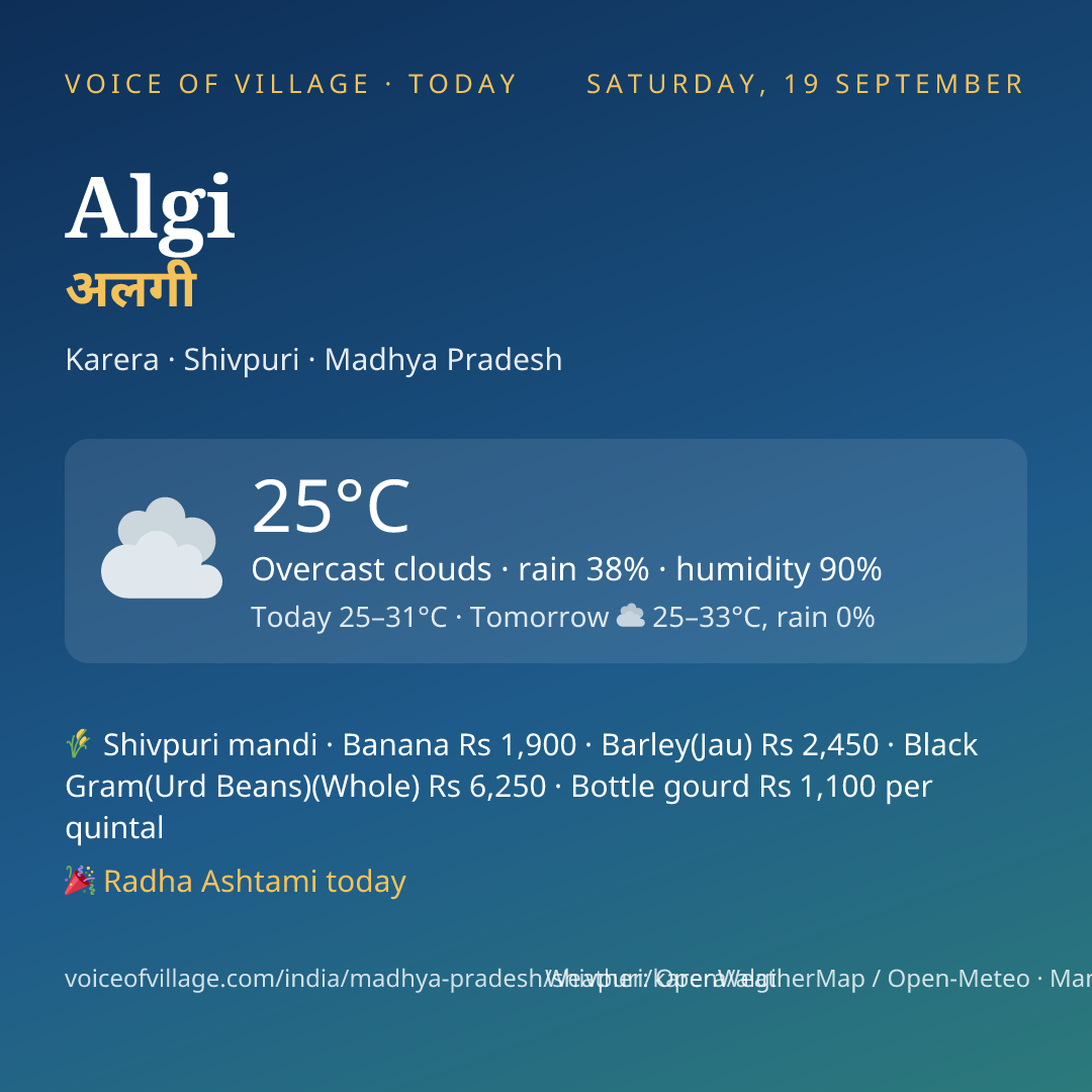 Algi today