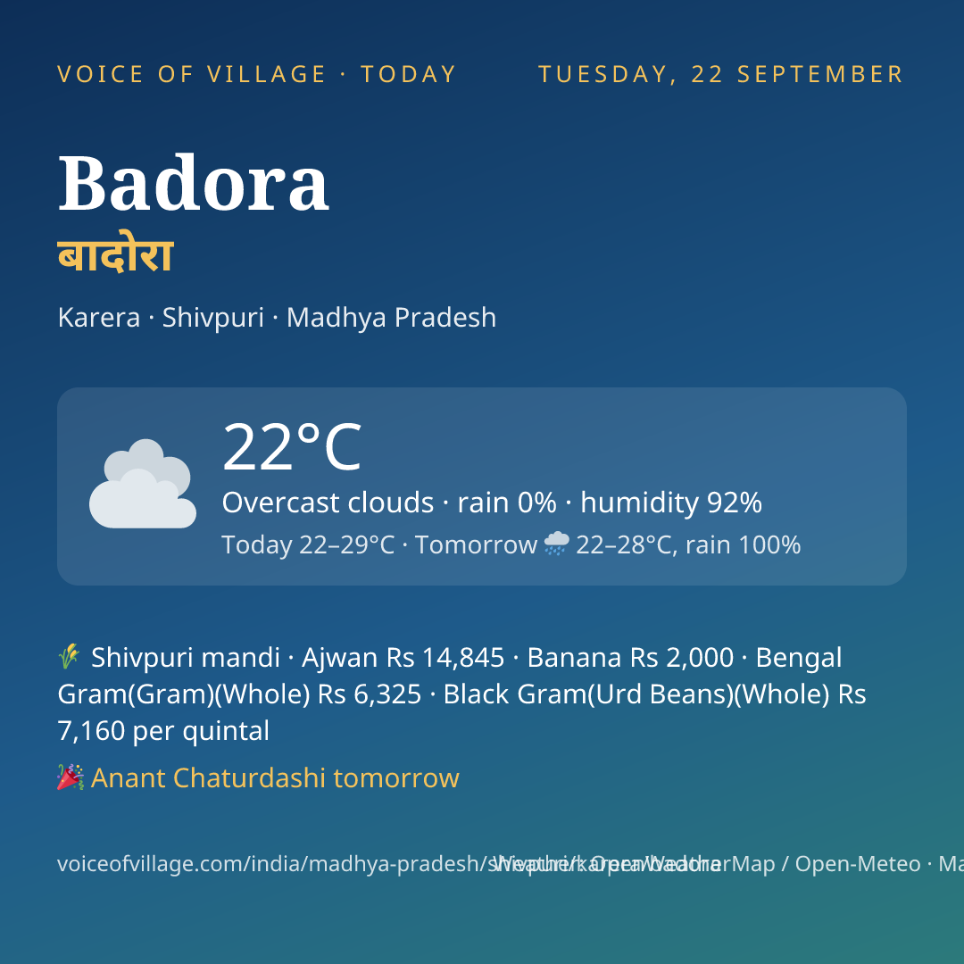 Badora today