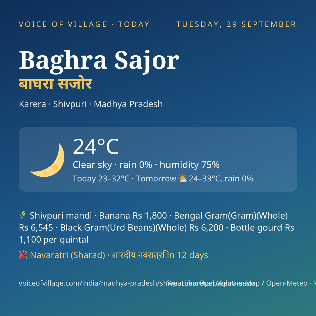 Baghra Sajor today
