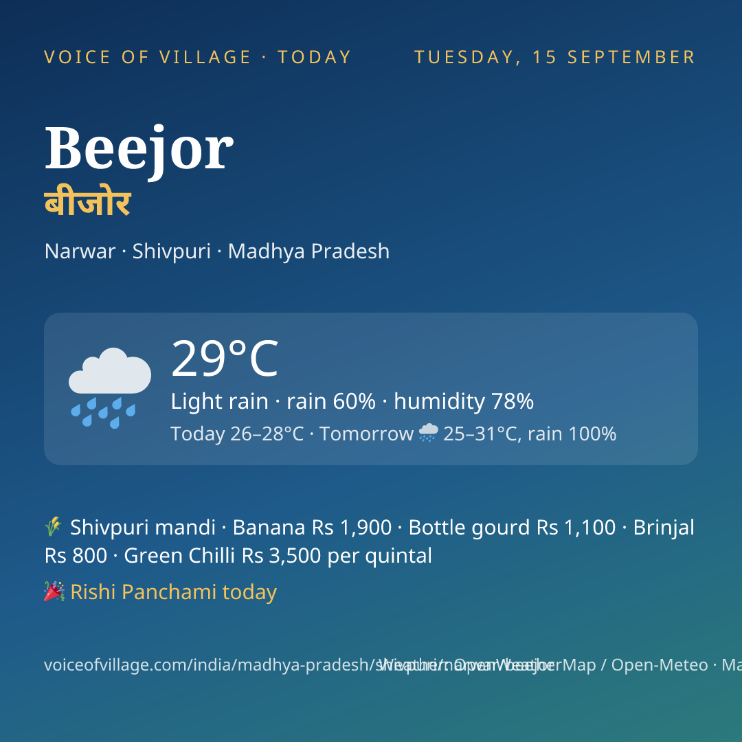 Beejor today