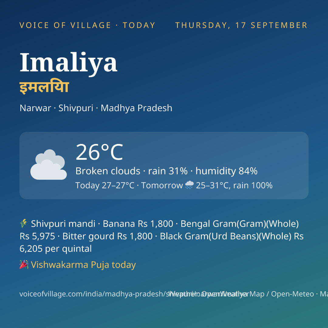 Imaliya today