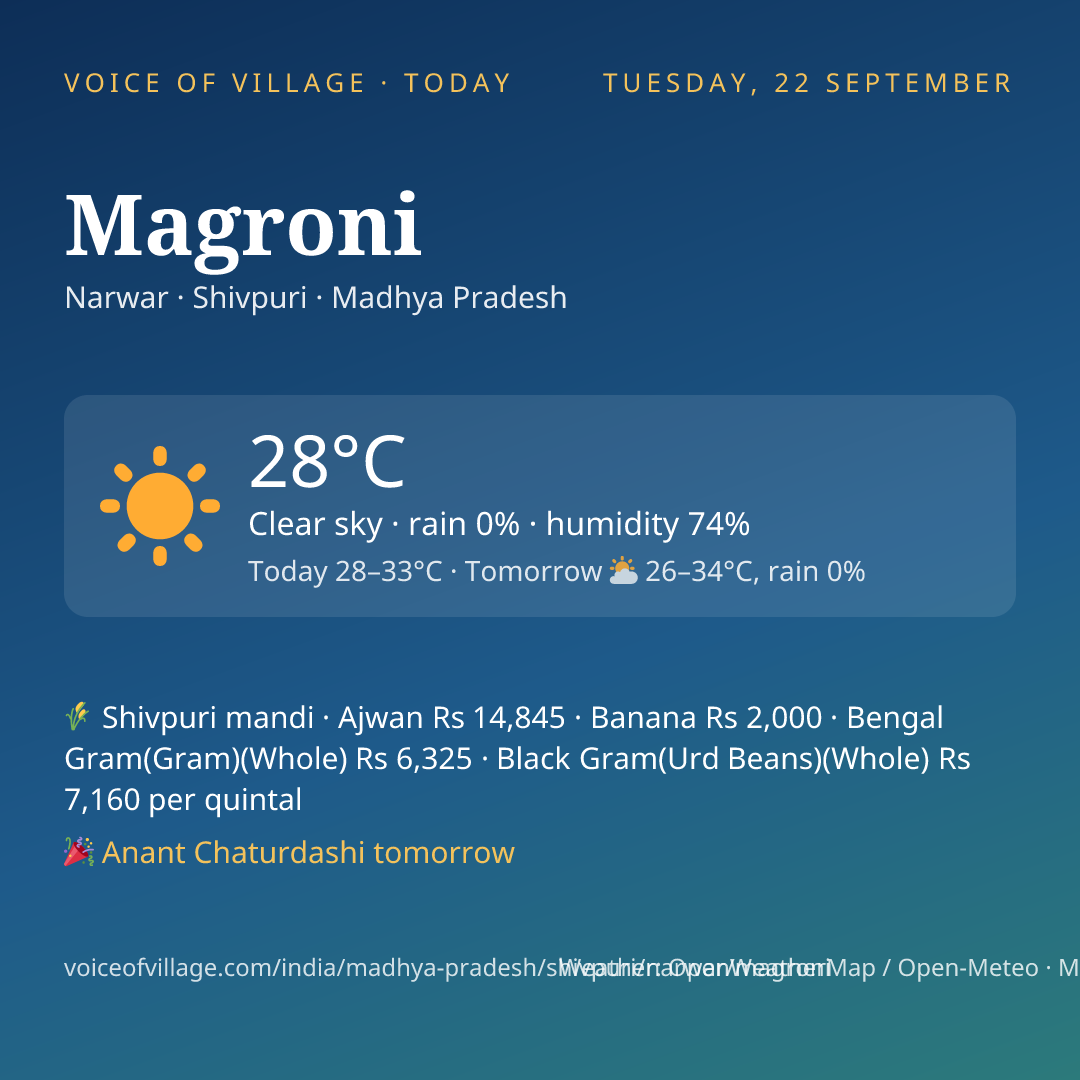 Magroni today